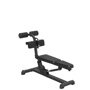 F0218-Abdominal bench