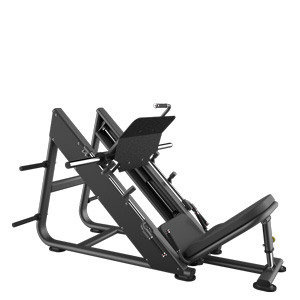 F0116 45 Leg Press