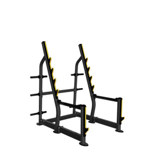 F0207 Squat Rack