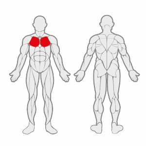 Muscles FL E0901 Chest Press